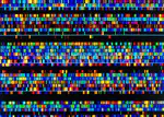 Cancer Classification from Single-Cell RNA Sequencing Data